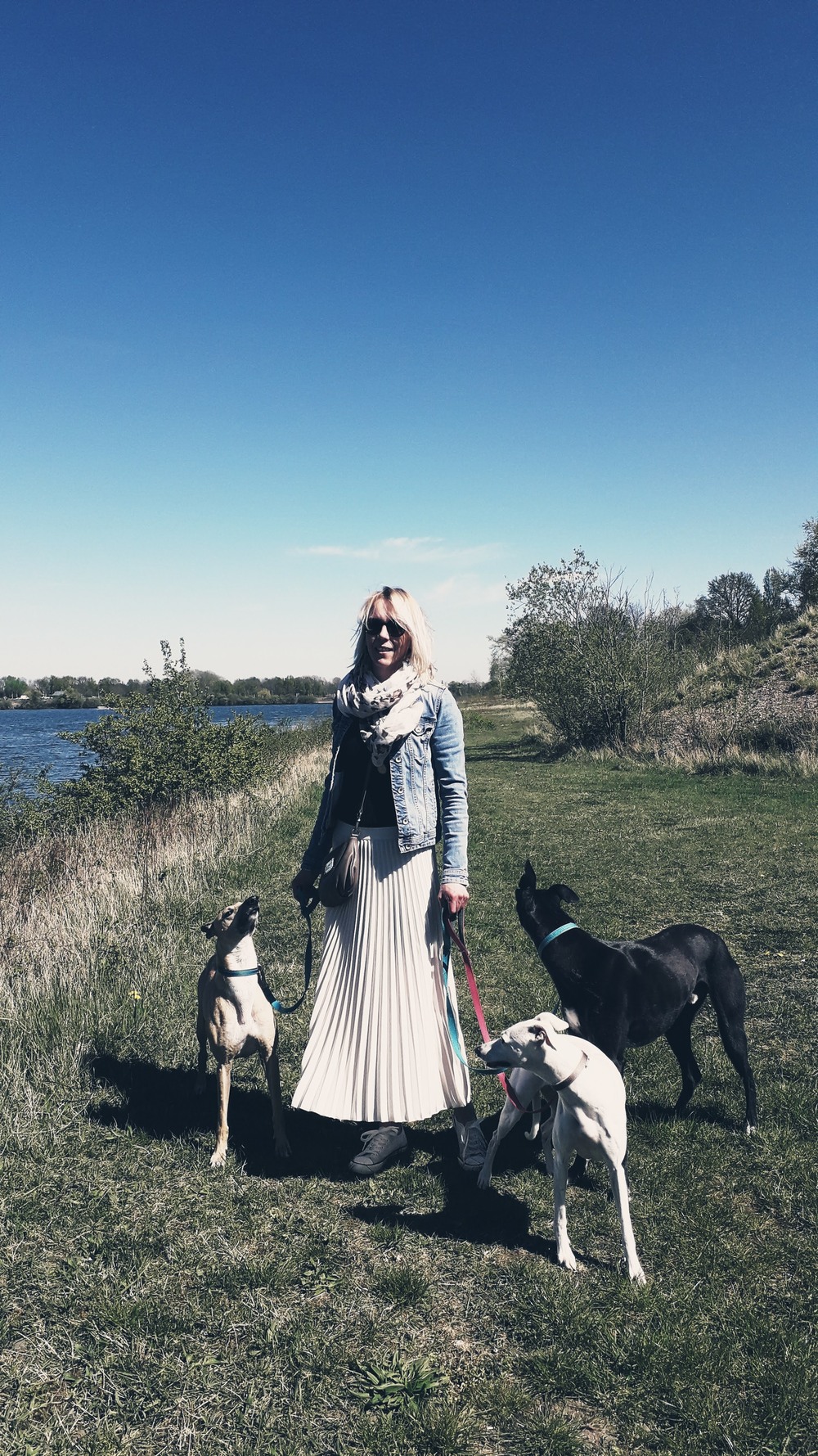 Daisy - Innerlight begeleider