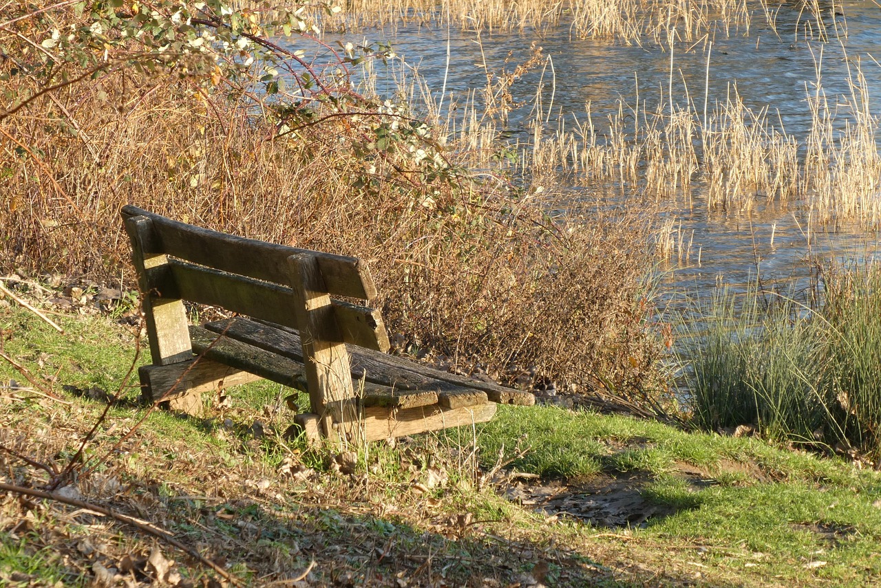 rustmoment in de zon met een gevoel van stilte en innerlijke balans