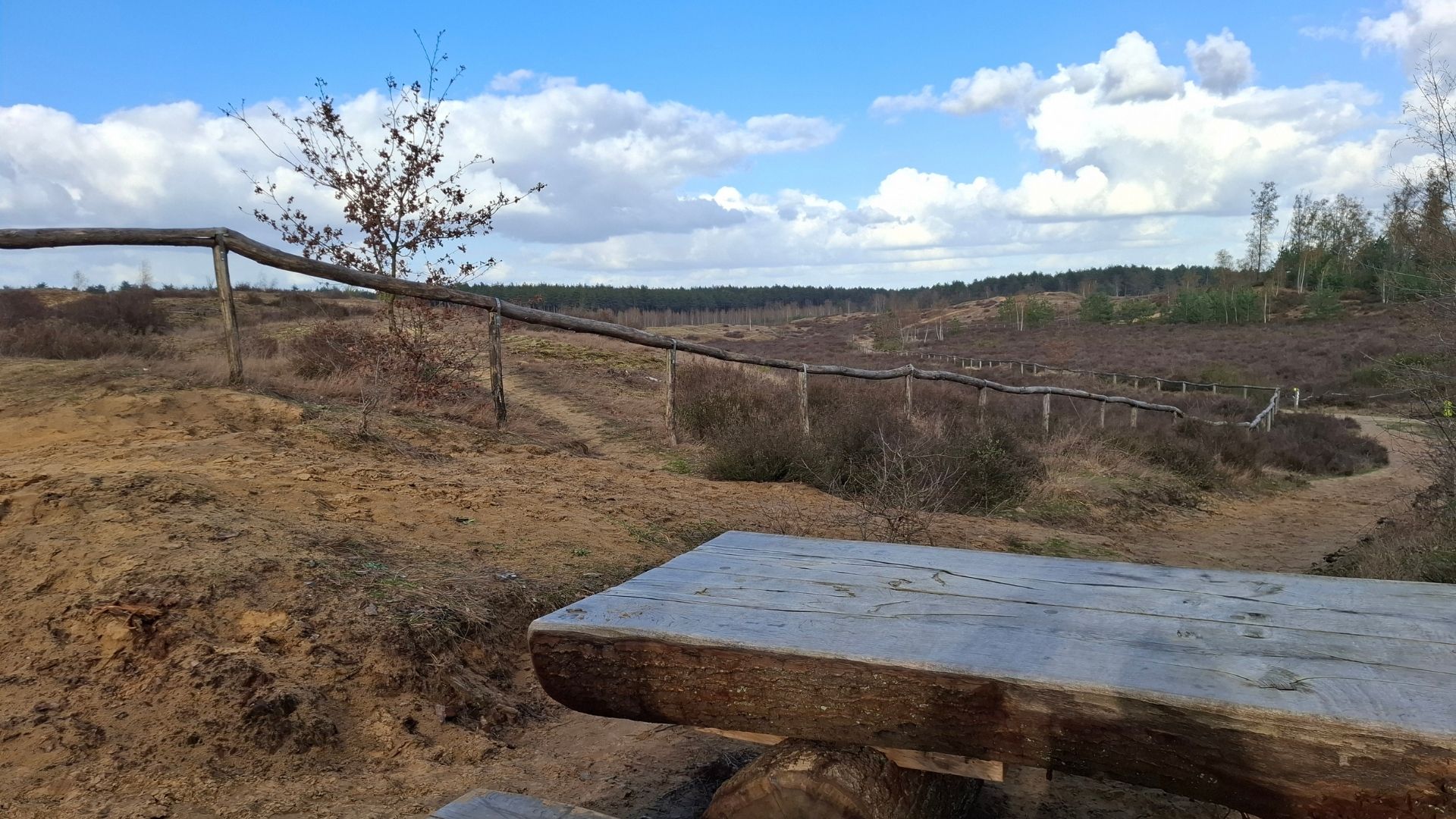 rustig natuur landschap met boom en zon gevoel van ruimte en ontspanning innerlight blog